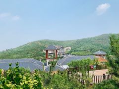 -徂徕山森林康养度假谷温泉