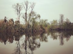 -白鹭湾湿地公园