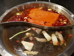 -小天鹅火锅·一线江景洪鼎旗舰店(洪崖洞店)