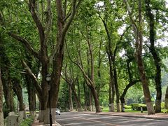-棒棰岛宾馆景区