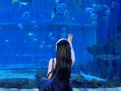 -华夏文旅海洋公园