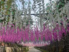 -北京十三陵国家森林公园蟒山景区
