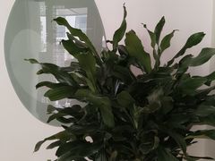 -观心实验室·心理咨询(上海旗舰店)