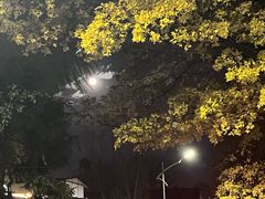 -北京理工大学(中关村校区)