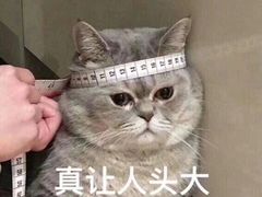 -红星美凯龙(北京北四环店)