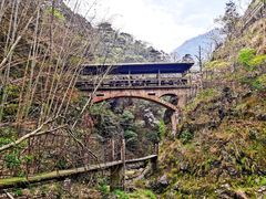 -祁门牯牛降观音堂风景区