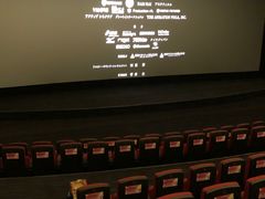 -寰映影城(大融城激光IMAX店)