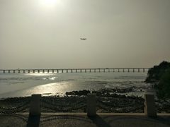 -宝安西湾红树林湿地公园