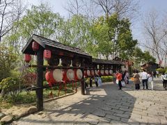 -合肥滨湖国家森林公园