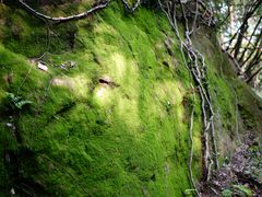 -浮山风景名胜区