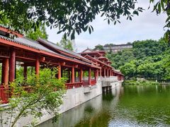 -重庆彩云湖湿地公园