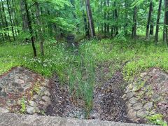 -黄海国家森林公园