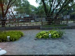 游览区-枫花园汽车电影院(朝阳公园店)