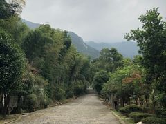 -东林大峡谷