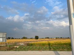 -莲花岛景区