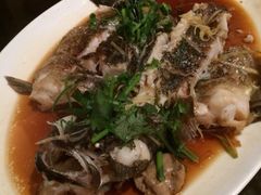iphone_upload_pic-詠春园