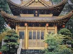 -上海东林寺(金山区)