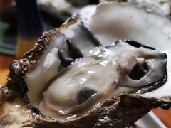 -大富蚝乌东哥饭店·石锅鱼杂·柠檬鸭(革新路店)