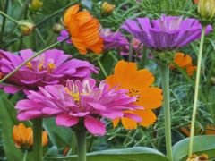 -贵阳市花溪国家城市湿地公园