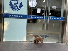 -申普宠物医院·眼科·心内科·影像科(普陀分院)