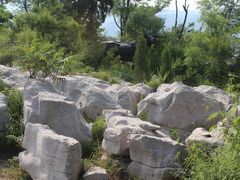 -原山国家森林公园