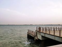-东疆建设开发纪念公园