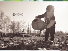 -前小桔亲子创意农场·草莓采摘·露营烧烤