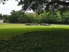 -广州雕塑公园
