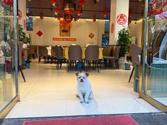 -柏合黄记豆腐皮饭店