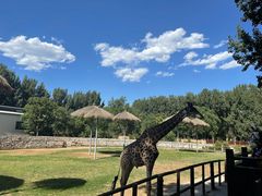 -北京野生动物园