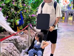 -正佳雨林生态植物园
