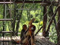 -哈尔滨北方森林动物园