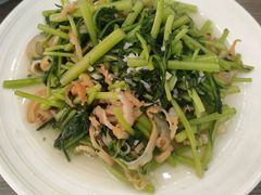 茼蒿炒海蜇-林之六八·6886大连老菜馆