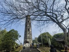 -上海佘山国家森林公园天马山园