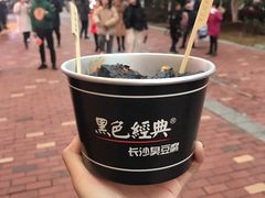 -黑色经典臭豆腐·湖南特产(步行街店)