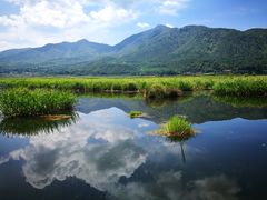 -腾冲北海湿地