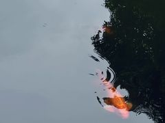 -嘉定博物馆