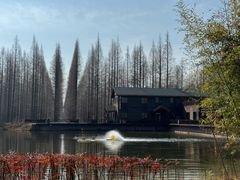 -黄海国家森林公园