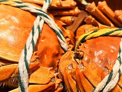 -北京歌华开元大酒店