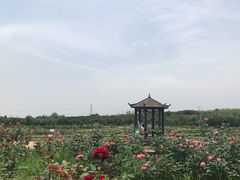 -武汉紫薇都市田园