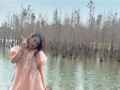 -白鹭湾湿地公园