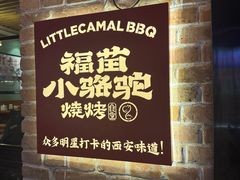 -福苗小骆驼烧烤(莲湖路店)