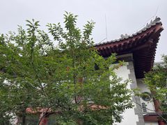 -寿山福海养老服务中心(石景山院)