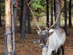 -北极村旅游风景区