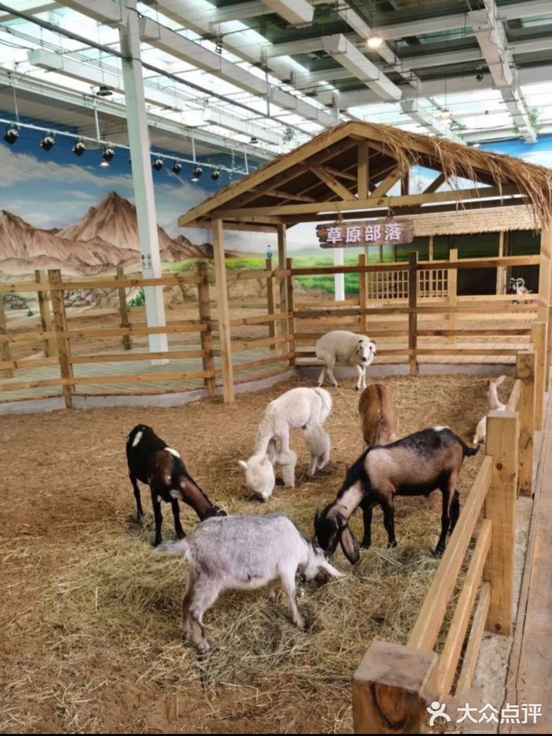 夏天与小动物来个浪漫约会吧😘