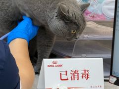 -御宝贝24h宠物医院·转诊中心·CT核磁血透中心(厦门总院)
