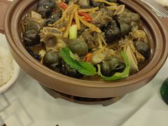 -阿甘酒家(桂青路店)