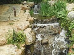 -大连植物园