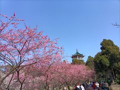 -无锡梅园公园