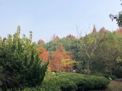 -上海海湾国家森林公园